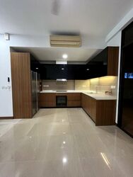 Holland Link (D10), Terrace #453848251